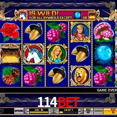 Descubra o Mundo do Cassino Online com 114bet